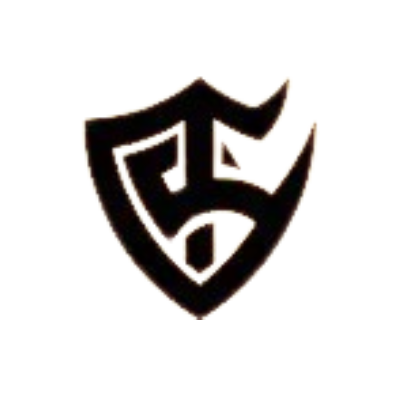 Team Solid logo
